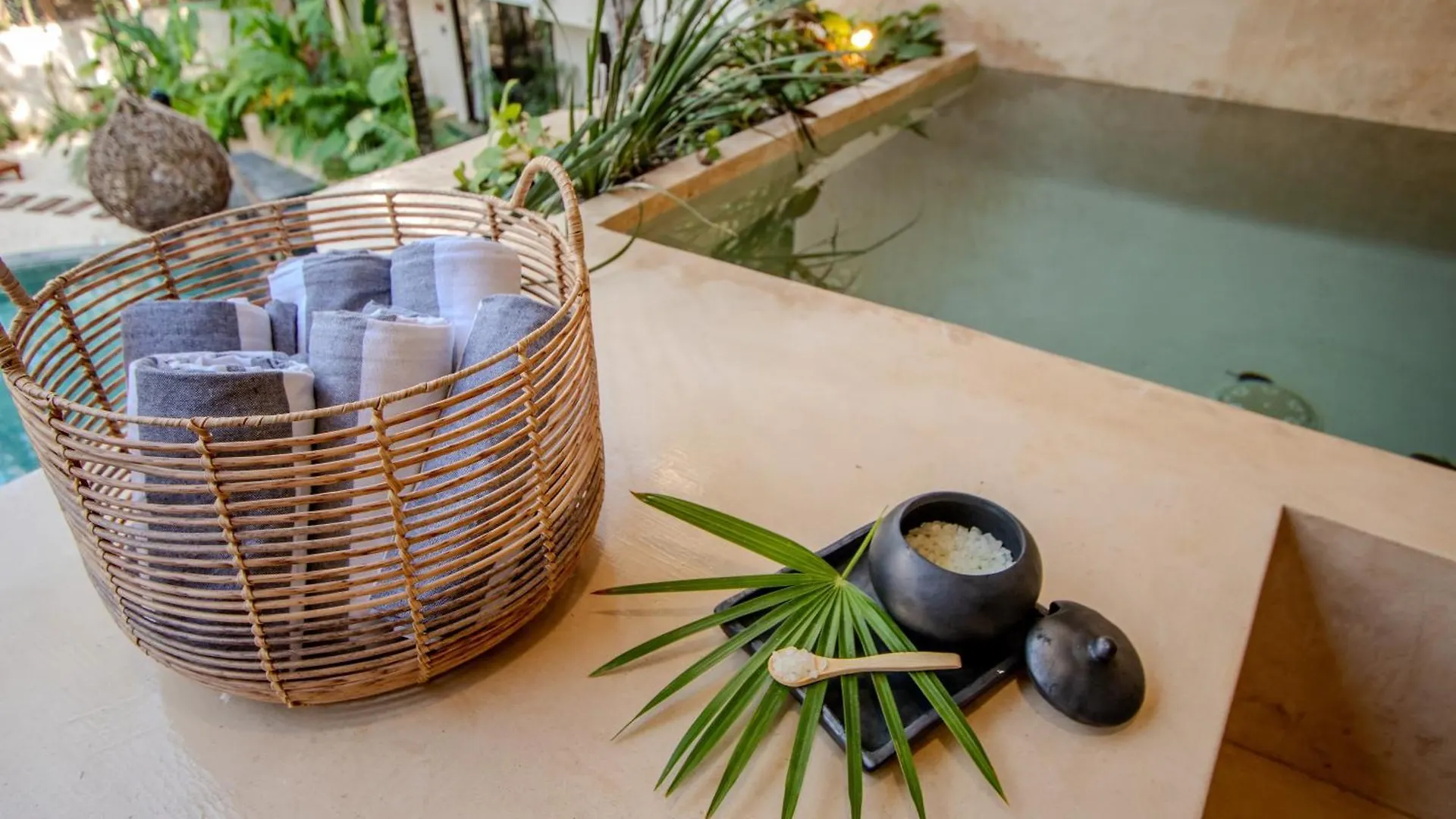 Tulum 2 Bedroom Suite Plunge Pool Ac Wifi